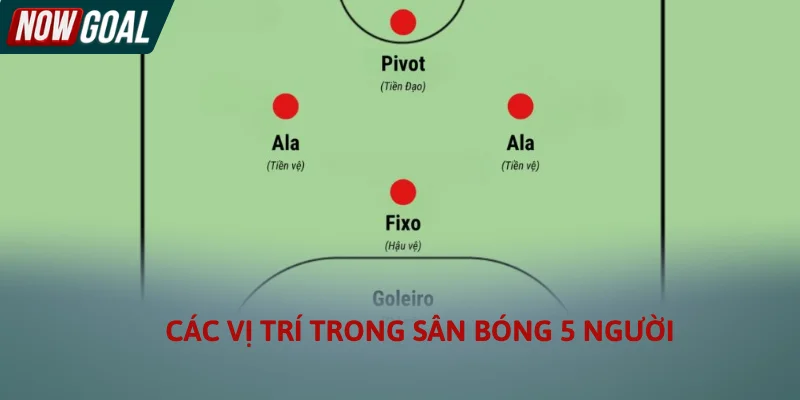 Các vị trí trong sân bóng 5 người cần biết