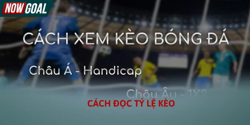 Cách Đọc Tỷ Lệ Kèo - Hướng Dẫn Soi Kèo Nhà Cái Chính Xác 2026