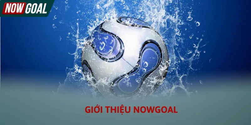 Giới thiệu Nowgoal và đội ngũ vận hành chuyên nghiệp tại hệ thống
