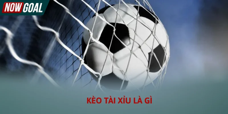 Kèo Tài Xỉu Là Gì - Hướng Dẫn Cách Soi Kèo Over/Under 2026