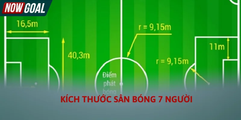 Quan sát kích thước sân bóng 7 người do VFF quy định