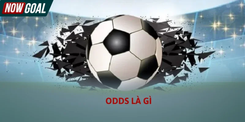 Odds Là Gì - Cách Phân Tích Tỷ Lệ Ăn Thưởng Bóng Đá 2026
